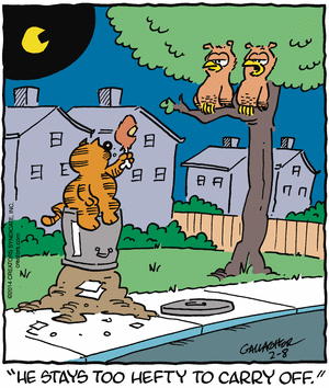 heathcliff